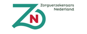 logo zn